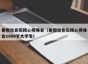 暑假社会实践心得体会（暑假社会实践心得体会1000字大学生）