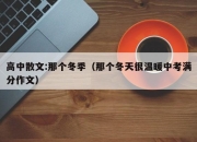 高中散文:那个冬季（那个冬天很温暖中考满分作文）