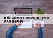 经典人生感悟句子(精选500句)（十句经典人生感悟句子）