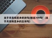 关于月亮和思乡的诗句(精选700句)（关于月亮和思乡的古诗句）
