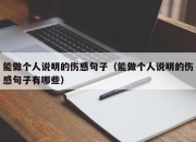 能做个人说明的伤感句子（能做个人说明的伤感句子有哪些）