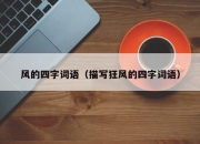 风的四字词语（描写狂风的四字词语）