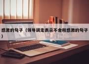 感激的句子（领导调走表示不舍和感激的句子）