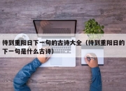 待到重阳日下一句的古诗大全（待到重阳日的下一句是什么古诗）