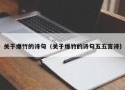 关于爆竹的诗句（关于爆竹的诗句五五言诗）