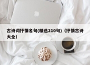 古诗词抒情名句(精选210句)（抒情古诗大全）