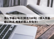 情人节暖心句子(精选720句)（情人节最暖心的话,唯美的情人节句子）