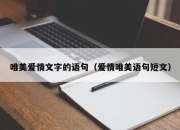 唯美爱情文字的语句（爱情唯美语句短文）