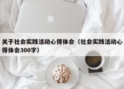 关于社会实践活动心得体会（社会实践活动心得体会300字）