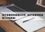 关于青春的好段落210句（关于青春的好段落210句英语）