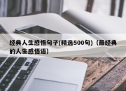 经典人生感悟句子(精选500句)（最经典的人生感悟语）