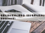 电算化会计实训心得体会（会计电算化实训心得体会1000字）