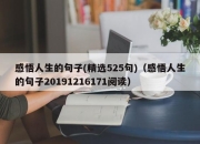 感悟人生的句子(精选525句)（感悟人生的句子20191216171阅读）