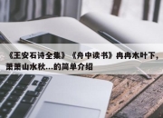 《王安石诗全集》《舟中读书》冉冉木叶下,萧萧山水秋...的简单介绍