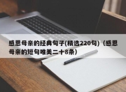 感恩母亲的经典句子(精选220句)（感恩母亲的短句唯美二十8条）