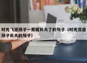 时光飞逝孩子一晃就长大了的句子（时光流逝孩子长大的句子）