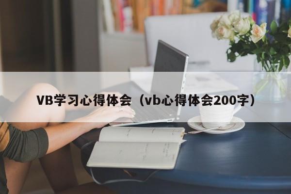 VB学习心得体会（vb心得体会200字）