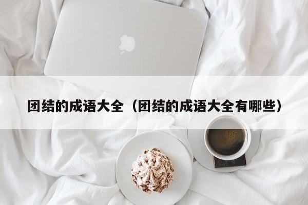 团结的成语大全（团结的成语大全有哪些）