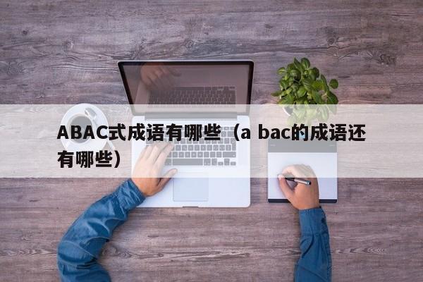 ABAC式成语有哪些（a bac的成语还有哪些）