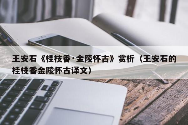 王安石《桂枝香·金陵怀古》赏析（王安石的桂枝香金陵怀古译文）