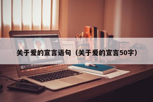 关于爱的宣言语句（关于爱的宣言50字）