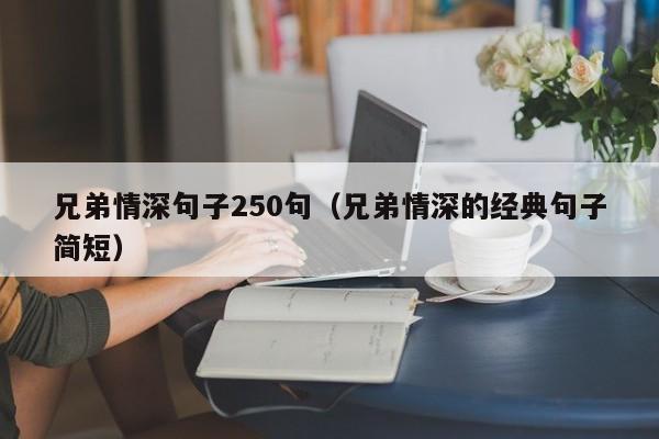 兄弟情深句子250句（兄弟情深的经典句子简短）