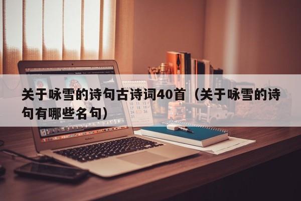关于咏雪的诗句古诗词40首（关于咏雪的诗句有哪些名句）