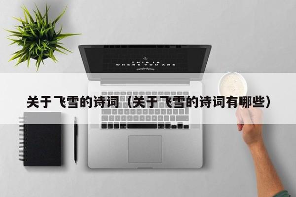 关于飞雪的诗词（关于飞雪的诗词有哪些）