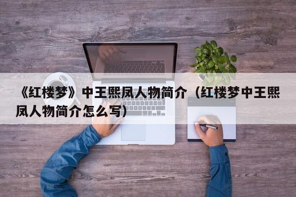 《红楼梦》中王熙凤人物简介（红楼梦中王熙凤人物简介怎么写）