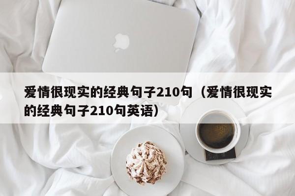 爱情很现实的经典句子210句（爱情很现实的经典句子210句英语）